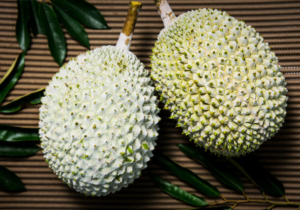 Malaysia Durian Supplier |  Nitrogen Frozen Durian | Frozen Musang King | Malaysia Durian Exporter
