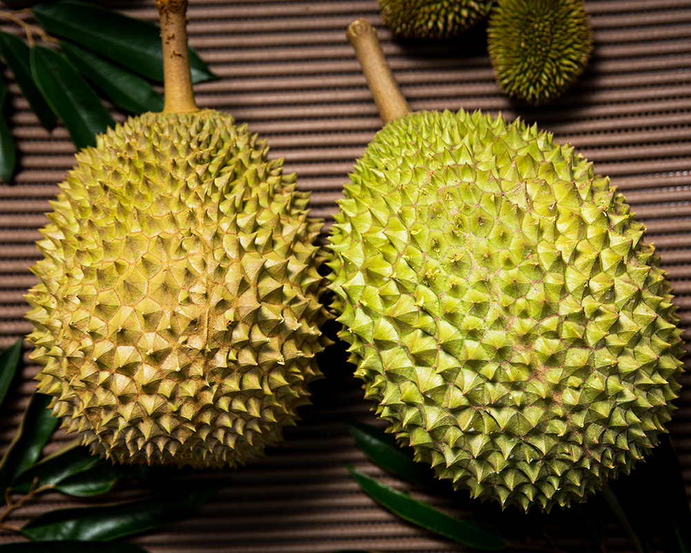 Frozen Musang King Malaysia | Nitrogen Frozen Durian Malaysia | Frozen Durian Pulp Malaysia |  Durian Paste Supplier Malaysia