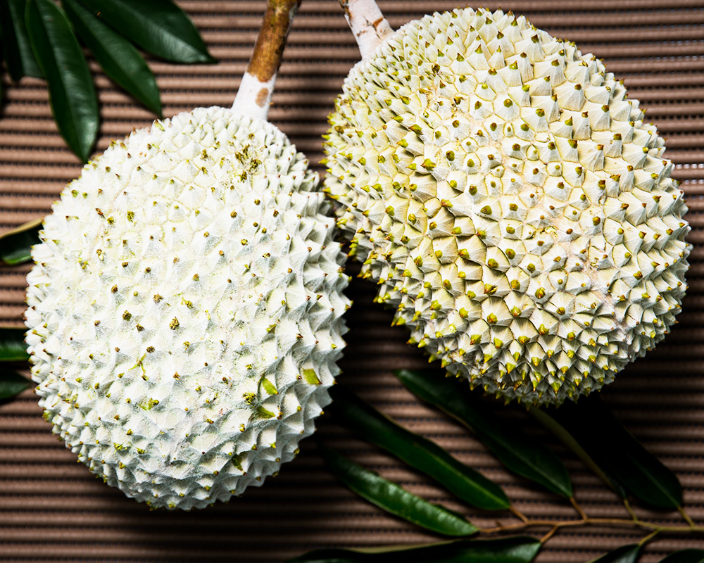 Frozen Musang King Malaysia | Nitrogen Frozen Durian Malaysia | Frozen Durian Pulp Malaysia |  Durian Paste Supplier Malaysia