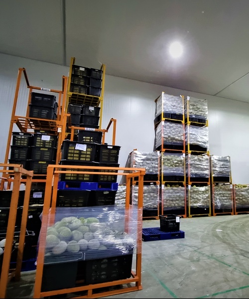 Warehouse & Cold Storage Service 